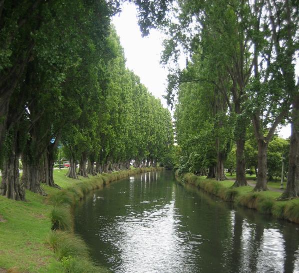 The lovely Avon River meanders through Christchurch