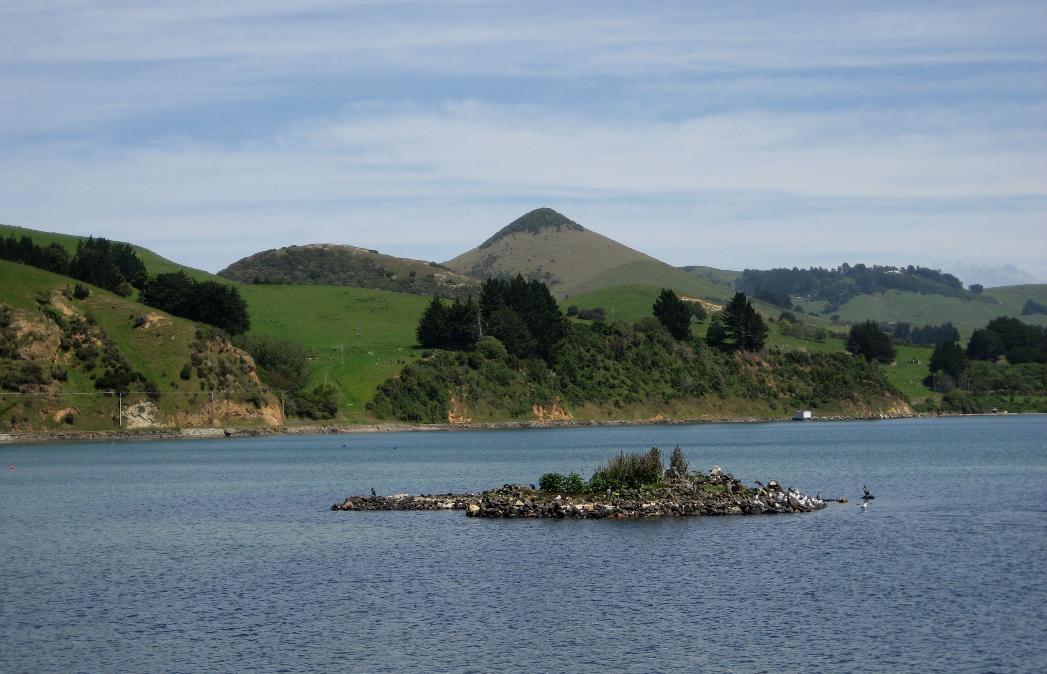 A drive along the Otago Peninsula offers serene views like this one